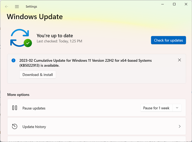 Windows 11's update window